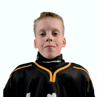 Kārlis Apinis