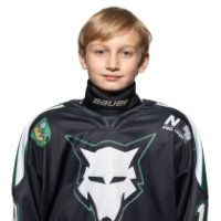 Kārlis Kalniņš