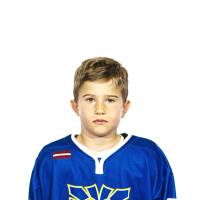 Kārlis Širjajevs