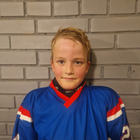 Kurts Veinbergs