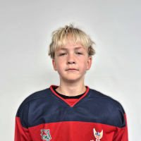 Linards Bergmanis