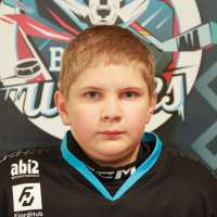 Liubomyr Vasyliev