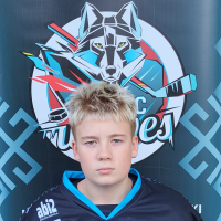 Luiss Lūsiņš