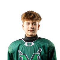 Maksimilians Nikita Gluhovs