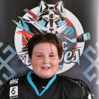 Marians Stepans Vlodavskis