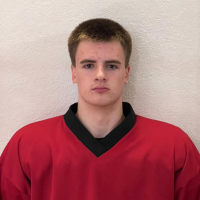 Martynas Vorobjovas
