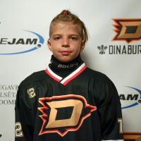 Mihails Vorfolomejevs