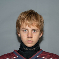Miķelis Birziņš