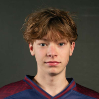 Miks Andris Liepiņš