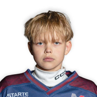 Ņikita Cvetkovs