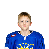 Raimonds Strongins