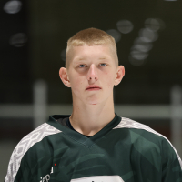 Rainers Lapiņš