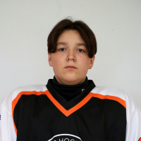 Reino Arvids Alasirnio