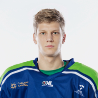 Renārs Kamergrauzis