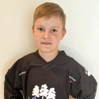 Ričards Gobiņš