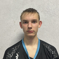 Ričards Ingus Raudulis