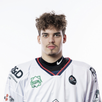 Rihards Purgailis