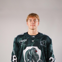 Roberts Freidenfelds