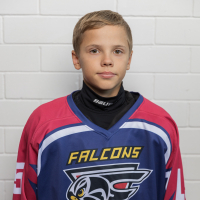 Roberts Kanģīzeris