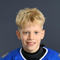 Roberts Verbickis