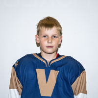 Rodrigo Lucians Raudulis