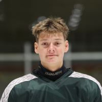 Rolands Medvedskis