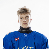 Tomass Erdmanis Hermanis