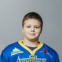 Valdis Plēsnieks