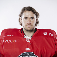 Villem Henrik Koitmaa