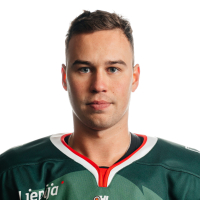 Vjačeslavs Minajevs