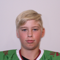 Vladislavs Tretjakovs