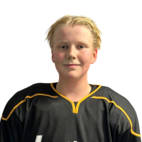 William Friedrich Velström